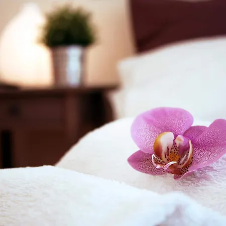 Bye Bye Pantheon Bed and breakfast Roma